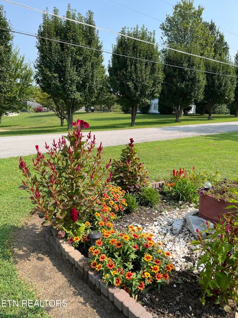 Tiny photo for 841 Yellow Cliff Rd, Jamestown, TN 38556 (MLS # 1359693)