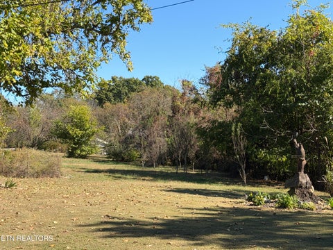 Tiny photo for 841 Yellow Cliff Rd, Jamestown, TN 38556 (MLS # 1359693)