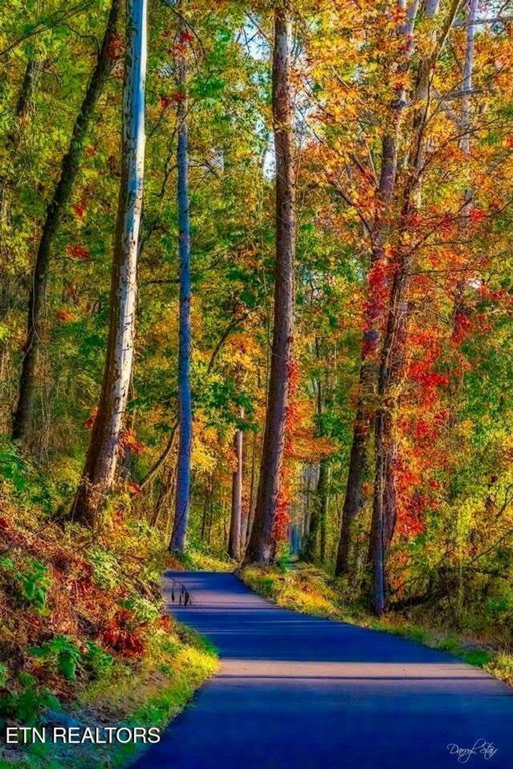 Photo of 105 Cozy Manor Way, Clinton, TN 37716 (MLS # 1330150)