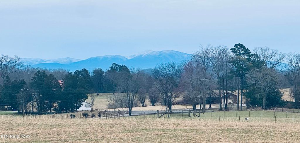 Photo of 2042 Niles Ferry Rd, Madisonville, TN 37354 (MLS # 1290046)