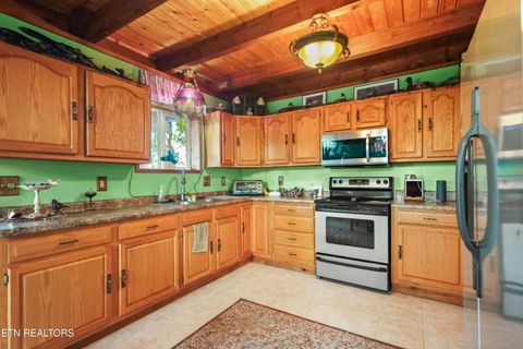 Tiny photo for 267 Cherokee Circle, Ten Mile, TN 37880 (MLS # 1321915)