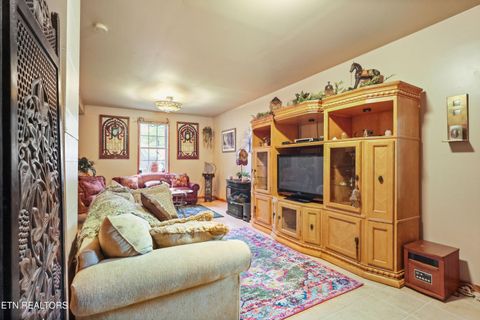 Tiny photo for 267 Cherokee Circle, Ten Mile, TN 37880 (MLS # 1321915)