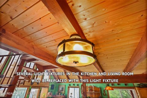 Tiny photo for 267 Cherokee Circle, Ten Mile, TN 37880 (MLS # 1321915)