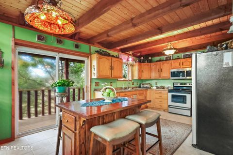 Tiny photo for 267 Cherokee Circle, Ten Mile, TN 37880 (MLS # 1321915)