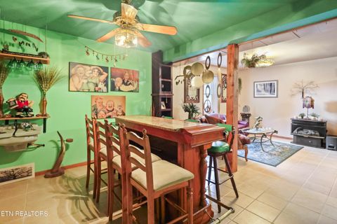 Tiny photo for 267 Cherokee Circle, Ten Mile, TN 37880 (MLS # 1321915)