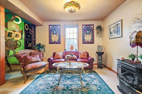 Tiny photo for 267 Cherokee Circle, Ten Mile, TN 37880 (MLS # 1321915)