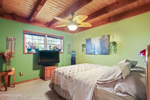 Tiny photo for 267 Cherokee Circle, Ten Mile, TN 37880 (MLS # 1321915)