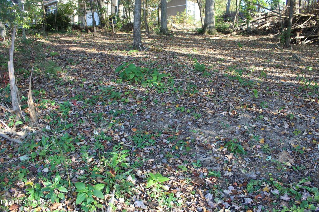 Photo of Abby Lane, Jacksboro, TN 37757 (MLS # 1319493)