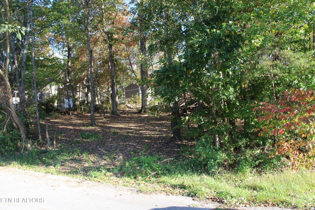 Photo of Abby Lane, Jacksboro, TN 37757 (MLS # 1319493)
