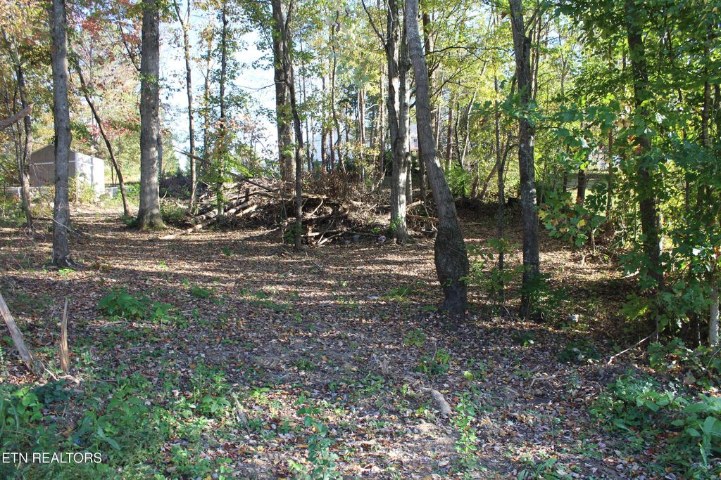 Photo of Abby Lane, Jacksboro, TN 37757 (MLS # 1319493)