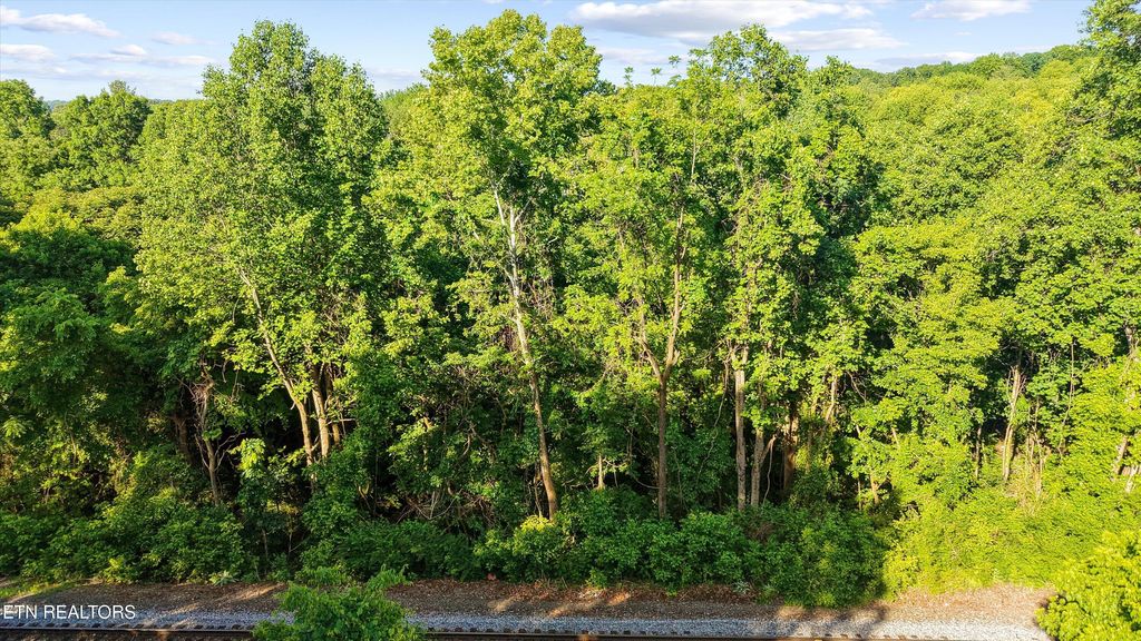 Photo of 19 Dry Gap, Knoxville, TN 37912 (MLS # 1341039)