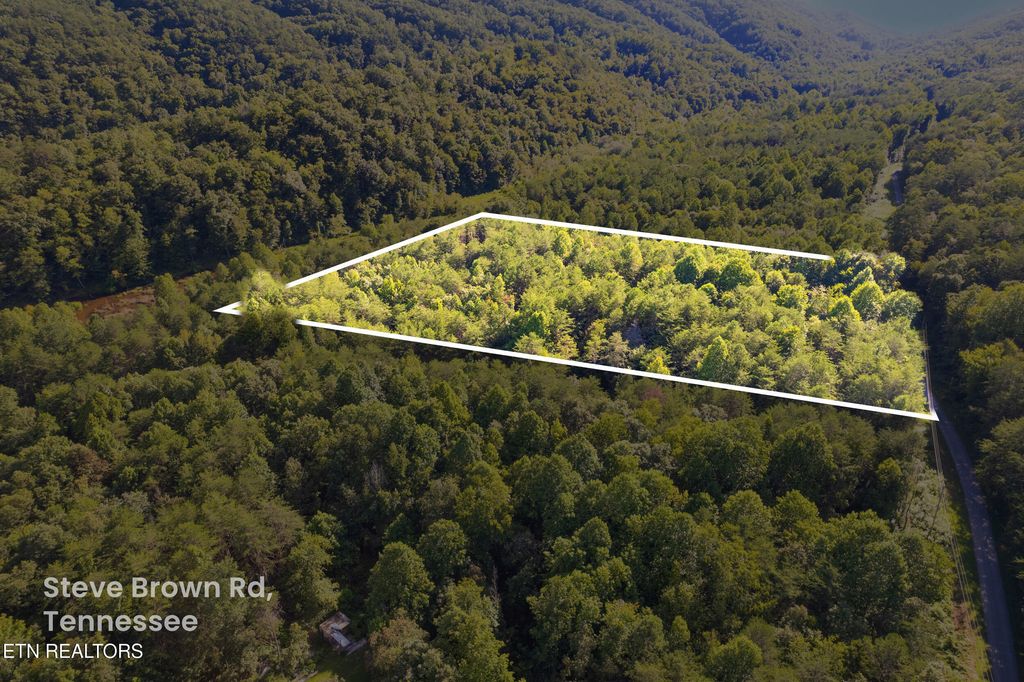 Photo of Steve Brown Rd, Bean Station, TN 37708 (MLS # 1312097)