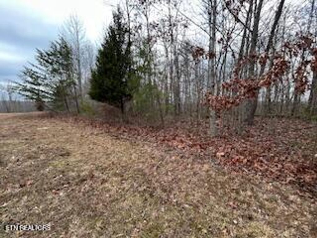 Photo of 50245, 50194, 50148 Buckeye Lane, Crawford, TN 38554 (MLS # 1325823)