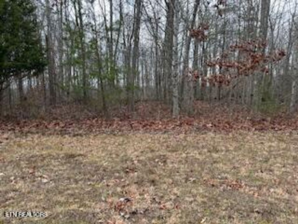 Photo of 50245, 50194, 50148 Buckeye Lane, Crawford, TN 38554 (MLS # 1325823)