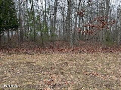 Photo of 50245, 50194, 50148 Buckeye Lane, Crawford, TN 38554 (MLS # 1325823)
