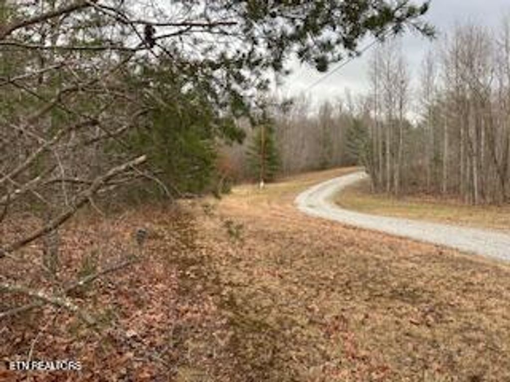 Photo of 50245, 50194, 50148 Buckeye Lane, Crawford, TN 38554 (MLS # 1325823)