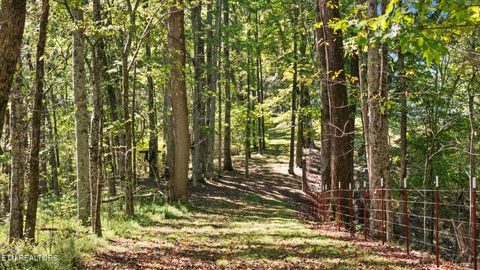 Tiny photo for 259 Little Tater Valley Rd, Luttrell, TN 37779 (MLS # 1317541)
