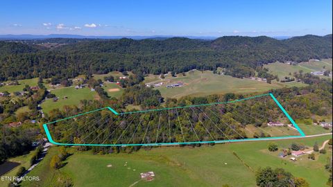 Photo of 259 Little Tater Valley Rd, Luttrell, TN 37779 (MLS # 1317541)