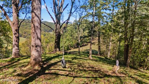 Tiny photo for 259 Little Tater Valley Rd, Luttrell, TN 37779 (MLS # 1317541)