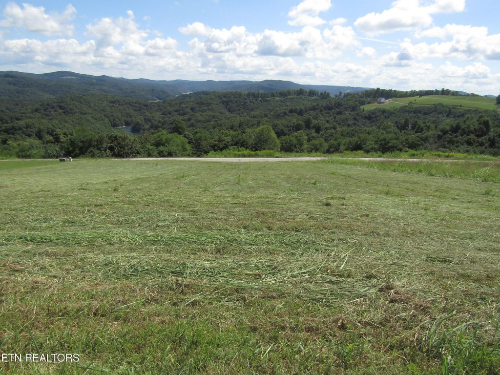 Photo of 48 E Swan Ridge Rd, Hilham, TN 38568 (MLS # 1340847)