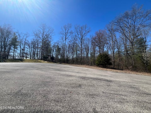 Tiny photo for 209 Appaloosa Tr, Rockwood, TN 37854 (MLS # 1332187)