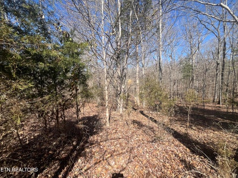 Tiny photo for 209 Appaloosa Tr, Rockwood, TN 37854 (MLS # 1332187)