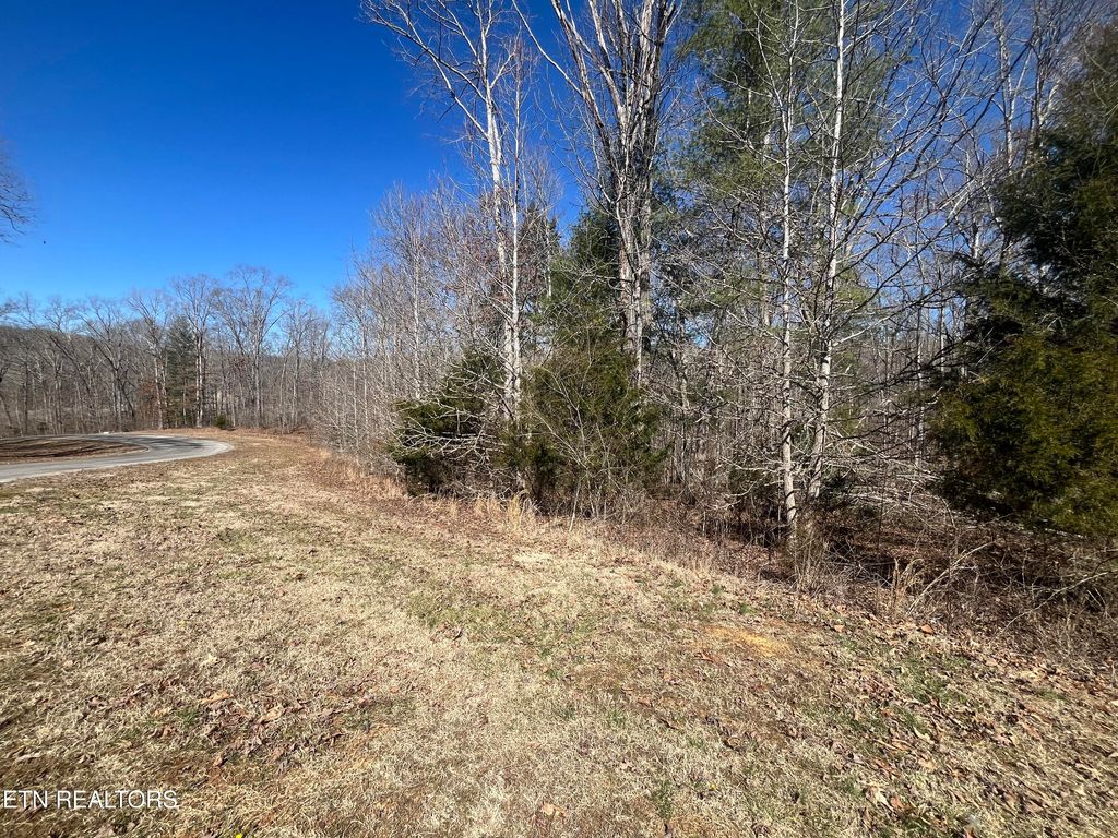 Photo of 209 Appaloosa Tr, Rockwood, TN 37854 (MLS # 1332187)