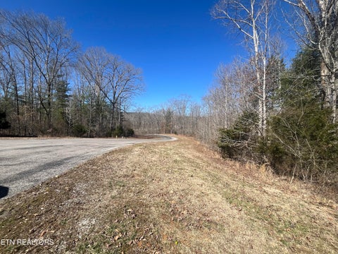 Tiny photo for 209 Appaloosa Tr, Rockwood, TN 37854 (MLS # 1332187)