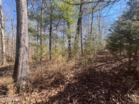 Tiny photo for 209 Appaloosa Tr, Rockwood, TN 37854 (MLS # 1332187)