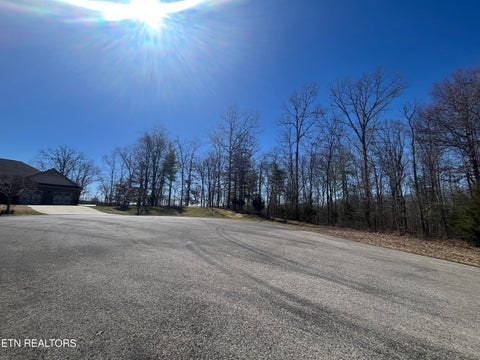 Tiny photo for 209 Appaloosa Tr, Rockwood, TN 37854 (MLS # 1332187)