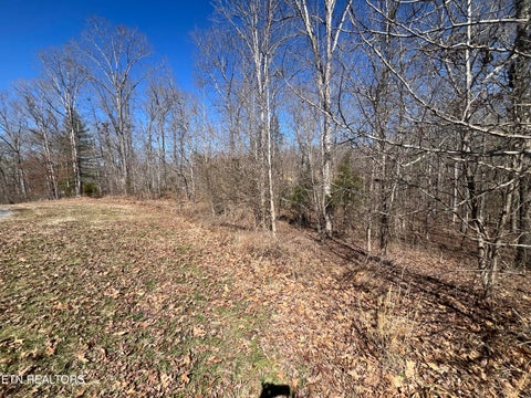 Tiny photo for 209 Appaloosa Tr, Rockwood, TN 37854 (MLS # 1332187)