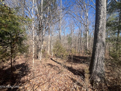 Tiny photo for 209 Appaloosa Tr, Rockwood, TN 37854 (MLS # 1332187)