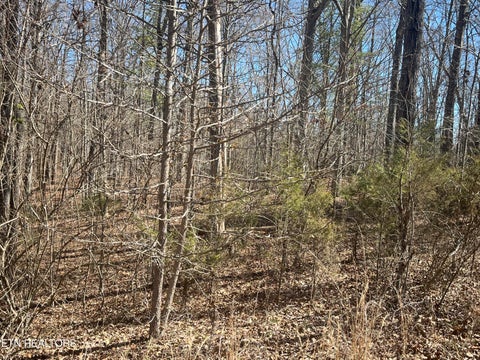 Tiny photo for 209 Appaloosa Tr, Rockwood, TN 37854 (MLS # 1332187)