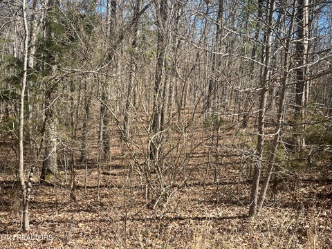 Tiny photo for 209 Appaloosa Tr, Rockwood, TN 37854 (MLS # 1332187)