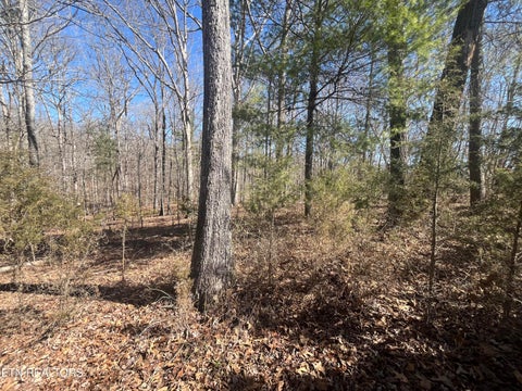 Tiny photo for 209 Appaloosa Tr, Rockwood, TN 37854 (MLS # 1332187)