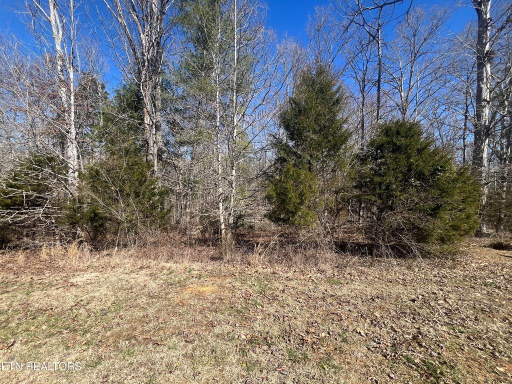 Photo of 209 Appaloosa Tr, Rockwood, TN 37854 (MLS # 1332187)