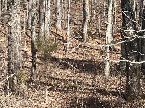 Tiny photo for 209 Appaloosa Tr, Rockwood, TN 37854 (MLS # 1332187)