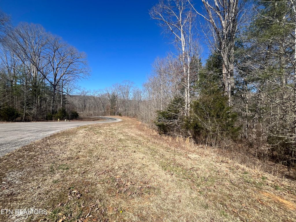 Photo of 209 Appaloosa Tr, Rockwood, TN 37854 (MLS # 1332187)