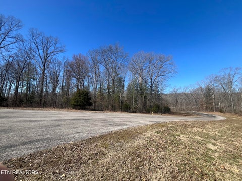 Tiny photo for 209 Appaloosa Tr, Rockwood, TN 37854 (MLS # 1332187)