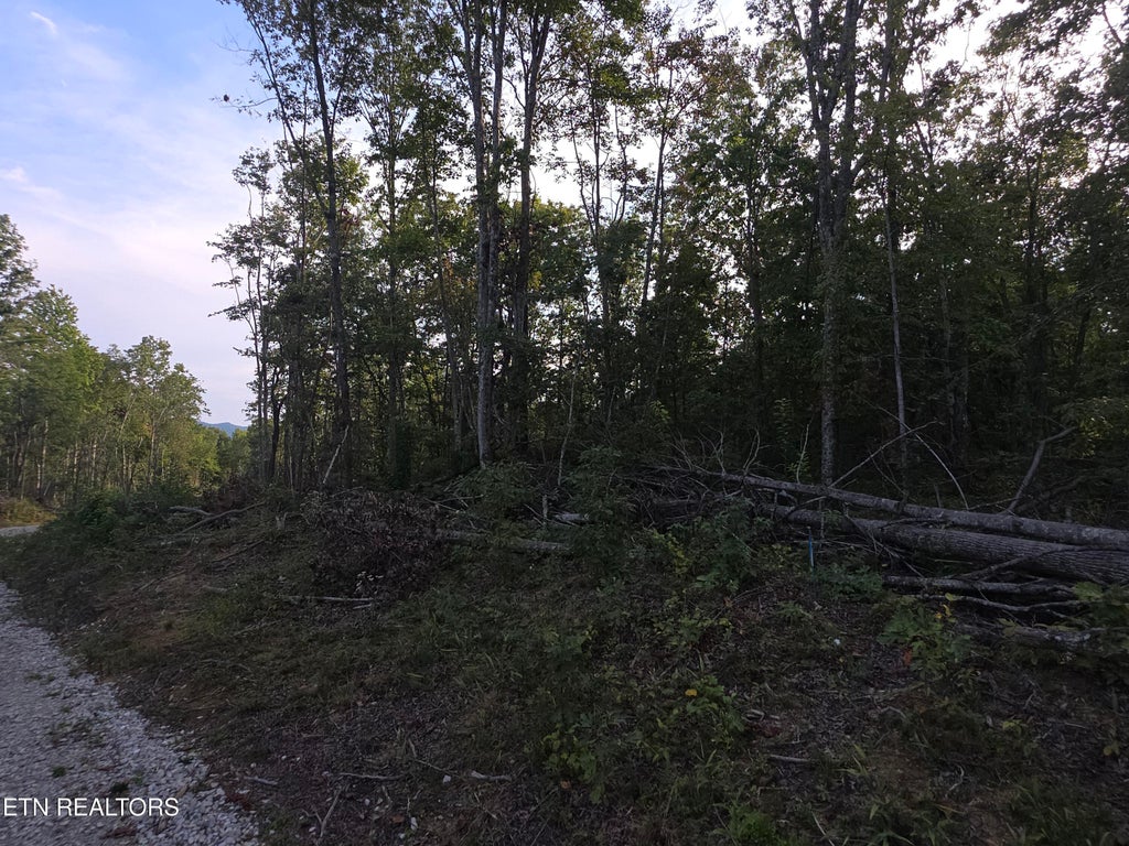 Photo of 12 Mill Creek Rd, Sunbright, TN 37872 (MLS # 1357186)