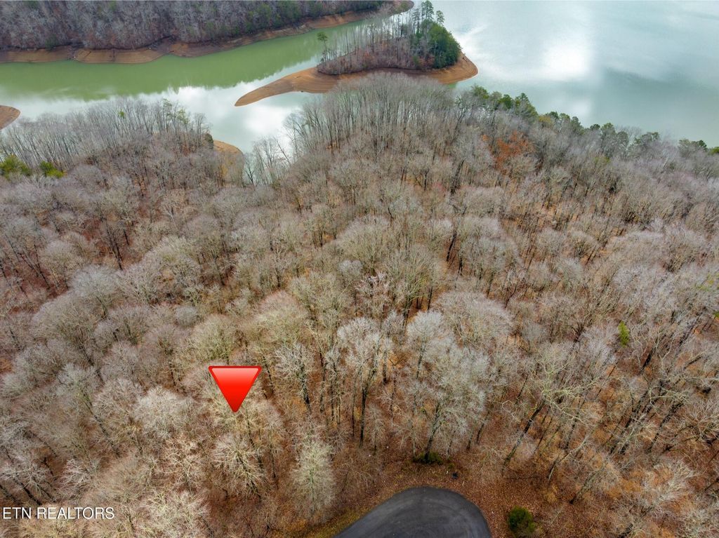 Photo of Mystic Star Drive, New Tazewell, TN 37825 (MLS # 1303005)
