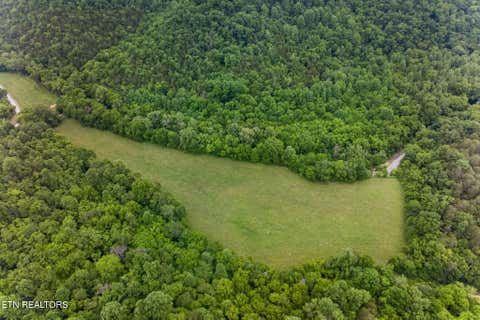 Tiny photo for 8029 Brimstone Creek Rd, Whitleyville, TN 38588 (MLS # 1342985)