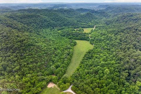 Tiny photo for 8029 Brimstone Creek Rd, Whitleyville, TN 38588 (MLS # 1342985)