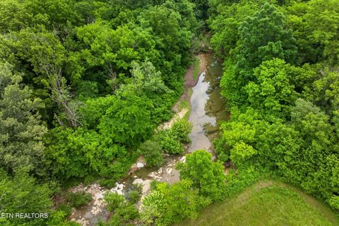 Tiny photo for 8029 Brimstone Creek Rd, Whitleyville, TN 38588 (MLS # 1342985)
