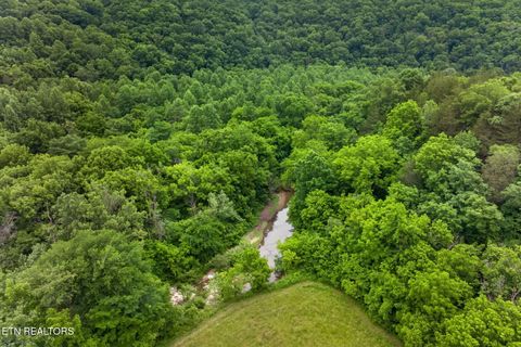 Tiny photo for 8029 Brimstone Creek Rd, Whitleyville, TN 38588 (MLS # 1342985)