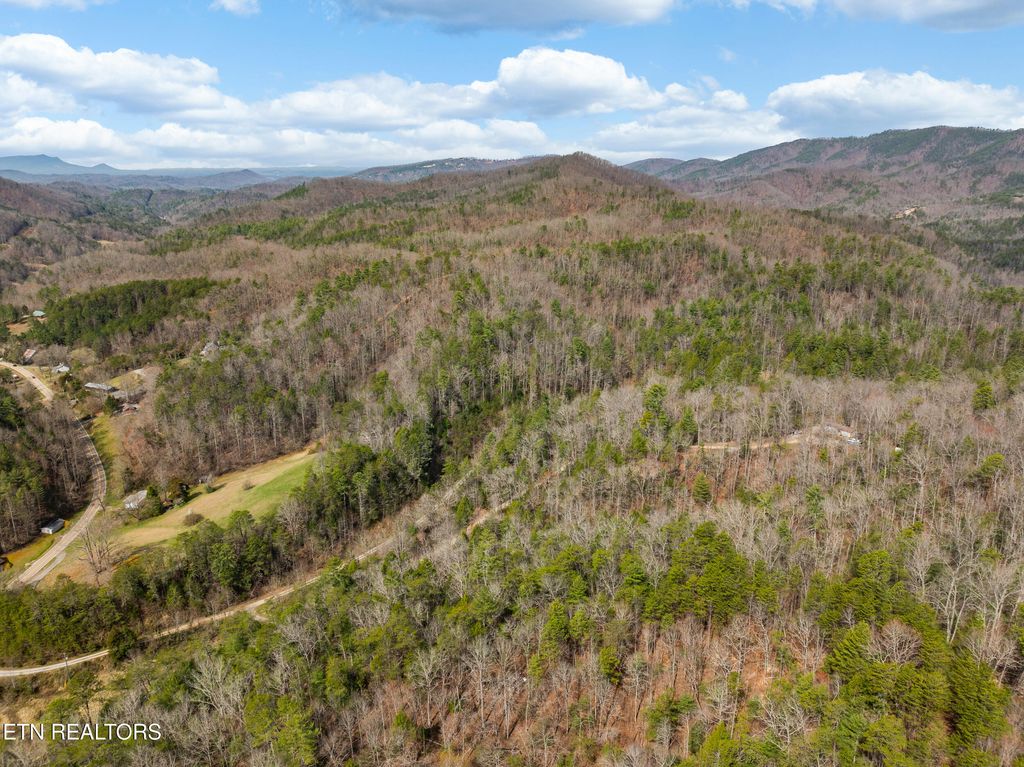Photo of Mossy Cove Way, Sevierville, TN 37876 (MLS # 1316287)