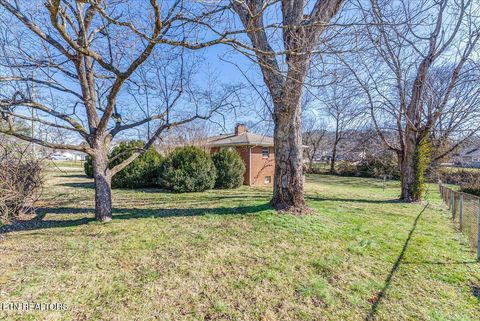 Tiny photo for 503 Glendale Ave, Clinton, TN 37716 (MLS # 1326952)