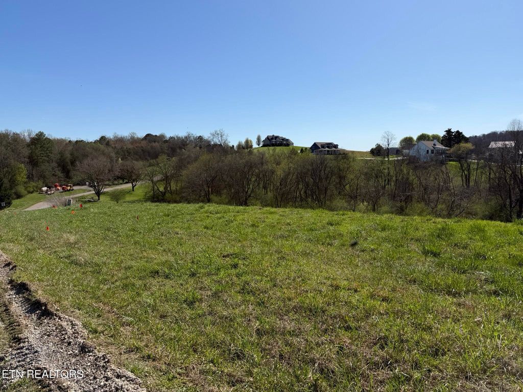 Photo of 52 Marble Bluff Drive, Kingston, TN 37763 (MLS # 1332956)