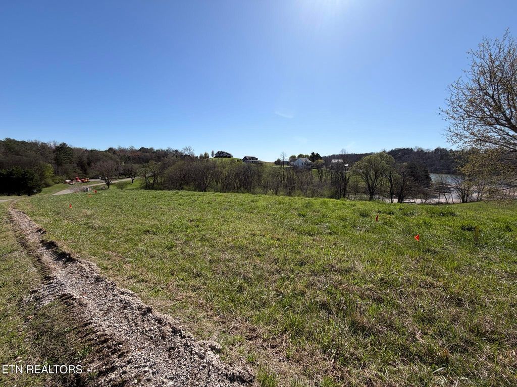 Photo of 52 Marble Bluff Drive, Kingston, TN 37763 (MLS # 1332956)