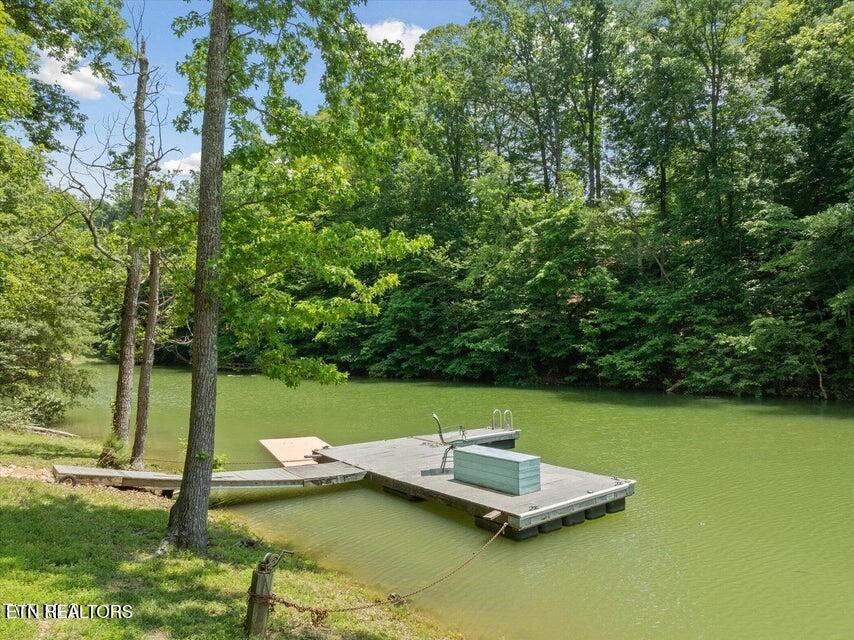 Photo of 929 Black Alder Lane, Dandridge, TN 37725 (MLS # 1351602)